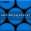 Captivating Sounds - The Best of 2008 Cover