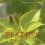 Platipus Records - Volume Three Cover