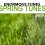 Spring Tunes 2009 Cover