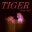 Tiger Cover