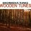 Wooden Tunes 2009 Cover
