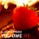 You Owe Me Cover