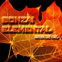 Bonzai Elemental - Autumn Chillz 2K9 Cover