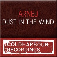 Dust In The Wind Cover