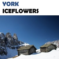 Iceflowers - The Mixes Cover