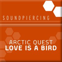 Love Is A Bird Cover