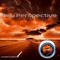 New Perspective Cover