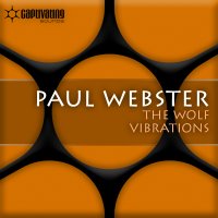 The Wolf / Vibrations Cover