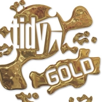 Tidy Gold Cover