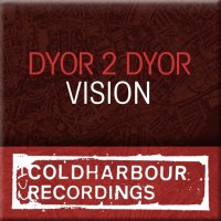 Vision Cover