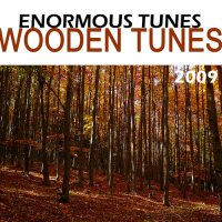 Wooden Tunes 2009 Cover